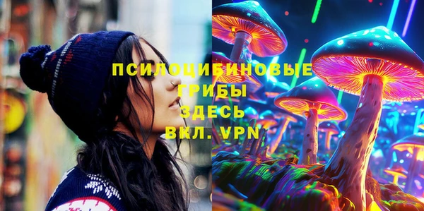 крисы Балахна