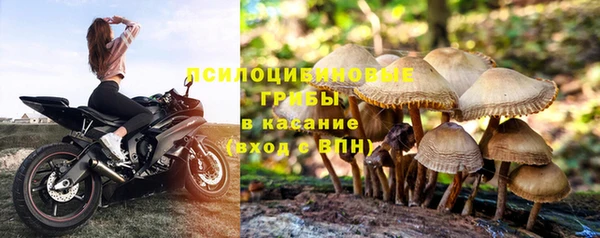 прущая мука Беломорск
