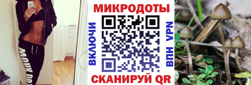 где можно купить Олёкминск Галлюциногенные грибы Psilocybine cubensis